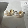 large white pearl stud earrings